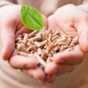 Read more about the article Lietuva pagal galimybę naudoti vien biokurą lenkia Europos vidurkį