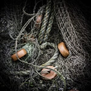 Read more about the article „NE verslinei žvejybai” – pasirašyk peticiją