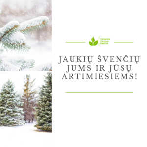Read more about the article Jaukių švenčių ir prasmingų akimirkų!