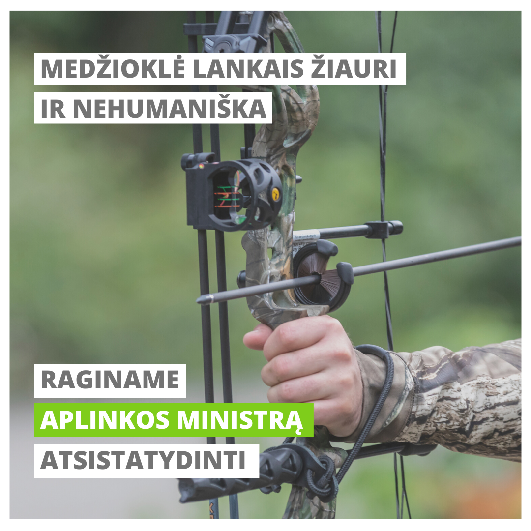 Read more about the article Medžioklę lankais įtvirtinusį ministrą raginame atsistatydinti