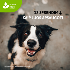 Read more about the article 12 siūlymų gyvūnų gerovei užtikrinti