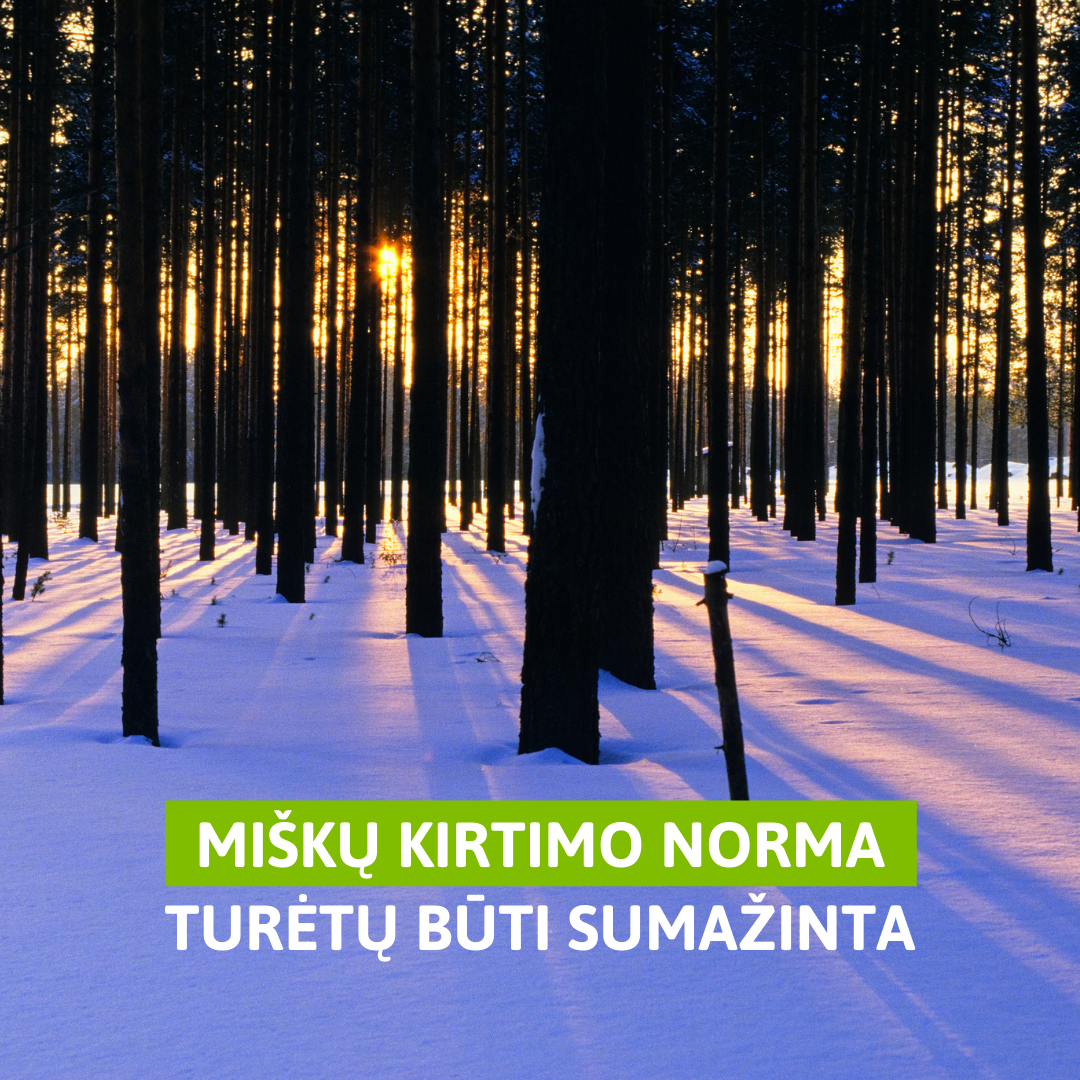 Read more about the article Partija prašo Vyriausybės sumažinti metinę miškų kirtimo normą