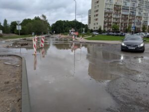 Gyvūnų kapinės Vilniuje, Paneriuose
