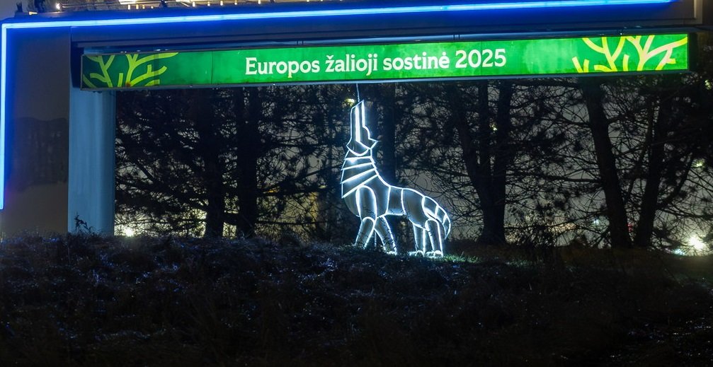 Read more about the article Žalieji protestuos per Vilniaus miško sodinimo talką: sostinėje daugiau reklamos nei reikalingų pokyčių